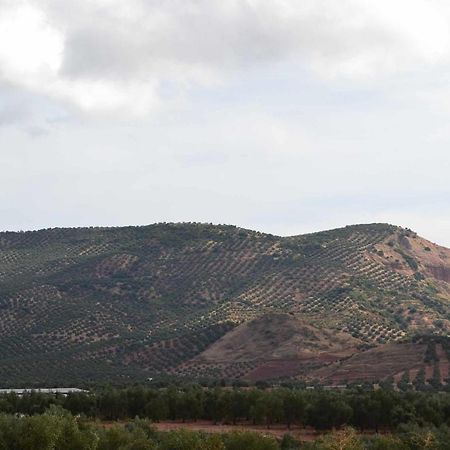 Finca El Vizconde Naturaleza Con Tus Hijos Arquillos Ngoại thất bức ảnh
