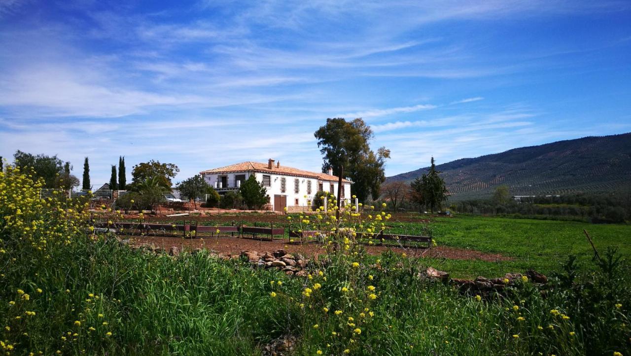 Finca El Vizconde Naturaleza Con Tus Hijos Arquillos Ngoại thất bức ảnh