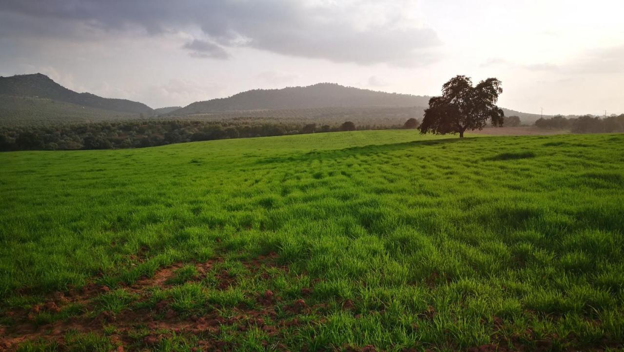 Finca El Vizconde Naturaleza Con Tus Hijos Arquillos Ngoại thất bức ảnh
