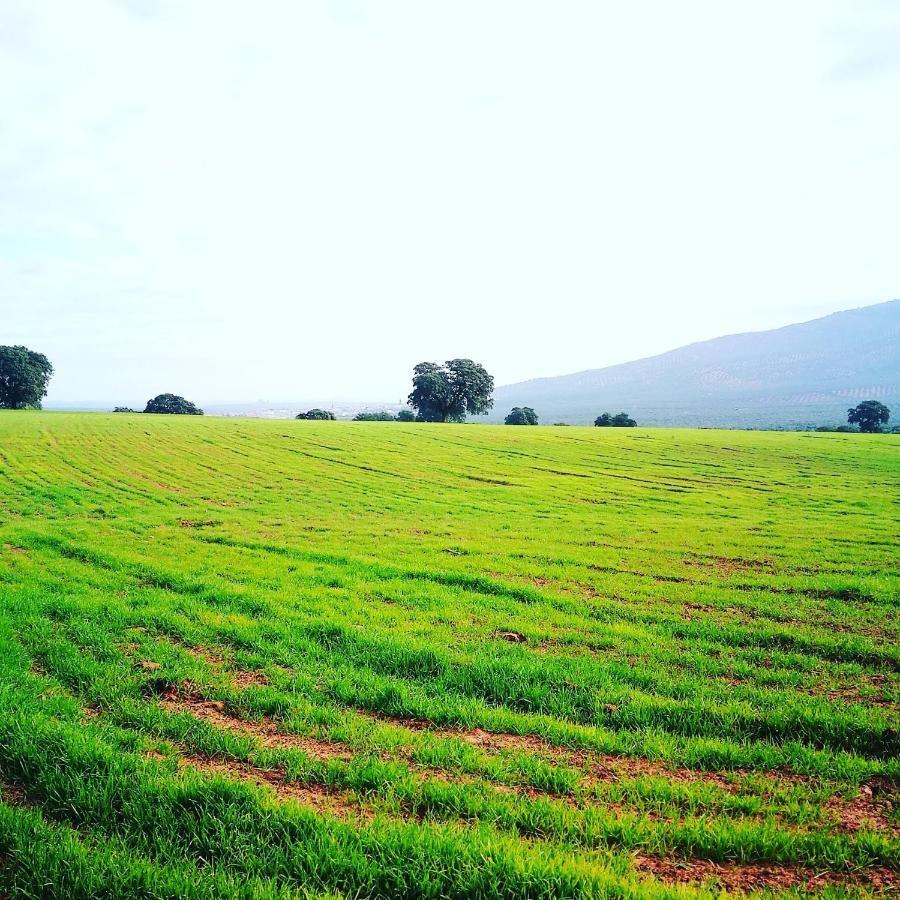 Finca El Vizconde Naturaleza Con Tus Hijos Arquillos Ngoại thất bức ảnh