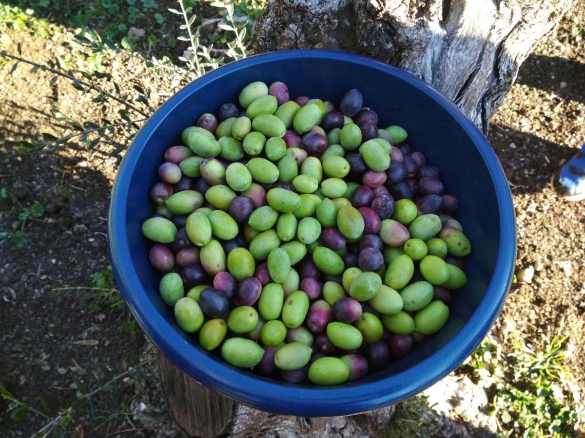 Finca El Vizconde Naturaleza Con Tus Hijos Arquillos Ngoại thất bức ảnh