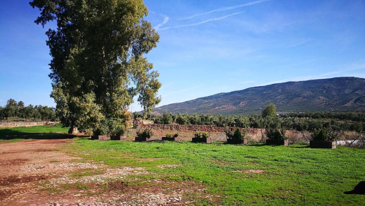 Finca El Vizconde Naturaleza Con Tus Hijos Arquillos Ngoại thất bức ảnh