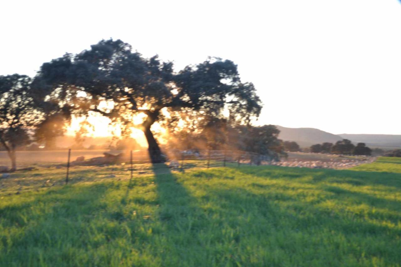 Finca El Vizconde Naturaleza Con Tus Hijos Arquillos Ngoại thất bức ảnh