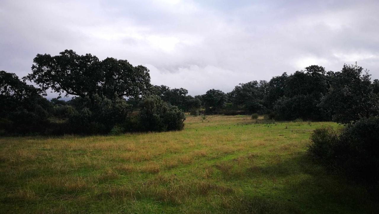 Finca El Vizconde Naturaleza Con Tus Hijos Arquillos Ngoại thất bức ảnh