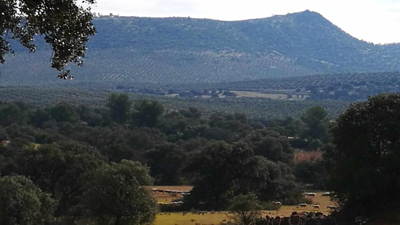 Finca El Vizconde Naturaleza Con Tus Hijos Arquillos Ngoại thất bức ảnh