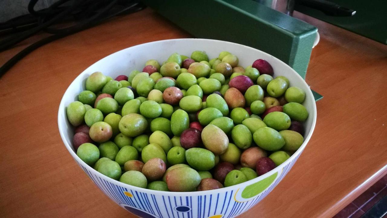 Finca El Vizconde Naturaleza Con Tus Hijos Arquillos Ngoại thất bức ảnh