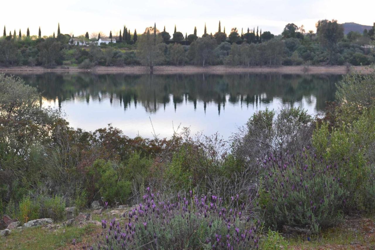 Finca El Vizconde Naturaleza Con Tus Hijos Arquillos Ngoại thất bức ảnh