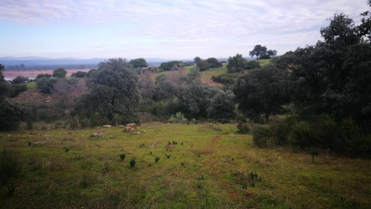 Finca El Vizconde Naturaleza Con Tus Hijos Arquillos Ngoại thất bức ảnh