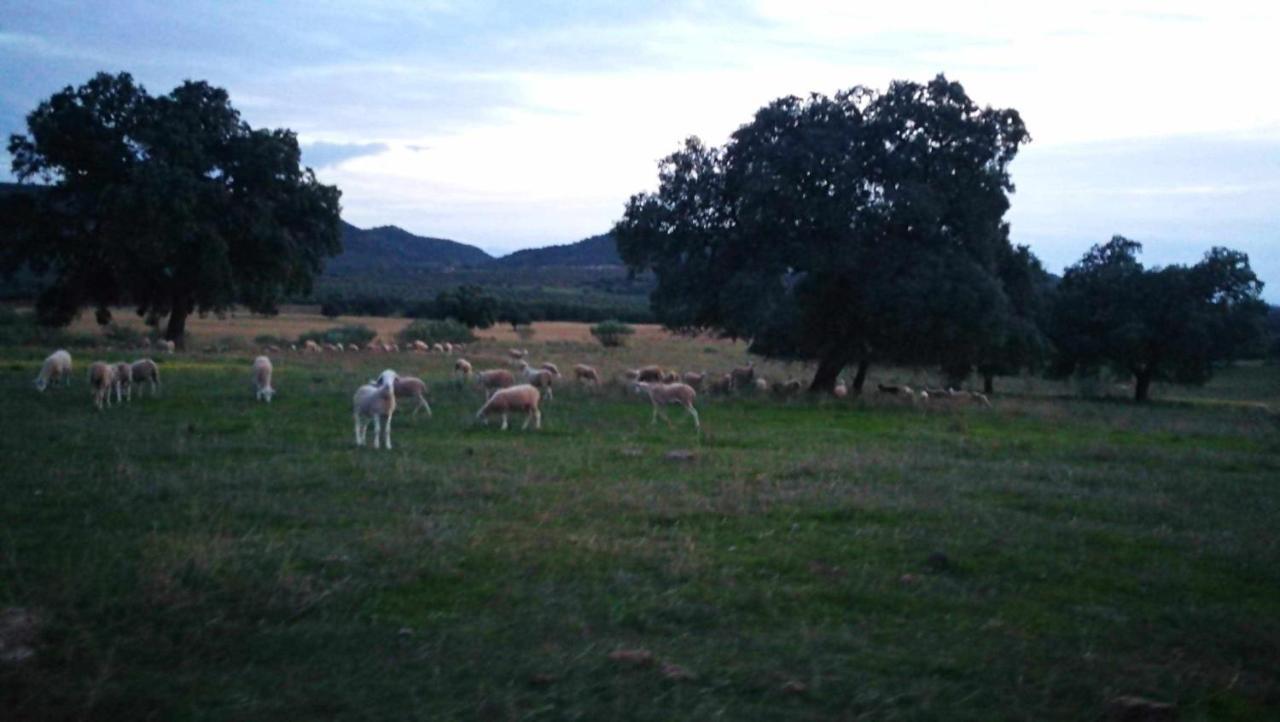 Finca El Vizconde Naturaleza Con Tus Hijos Arquillos Ngoại thất bức ảnh