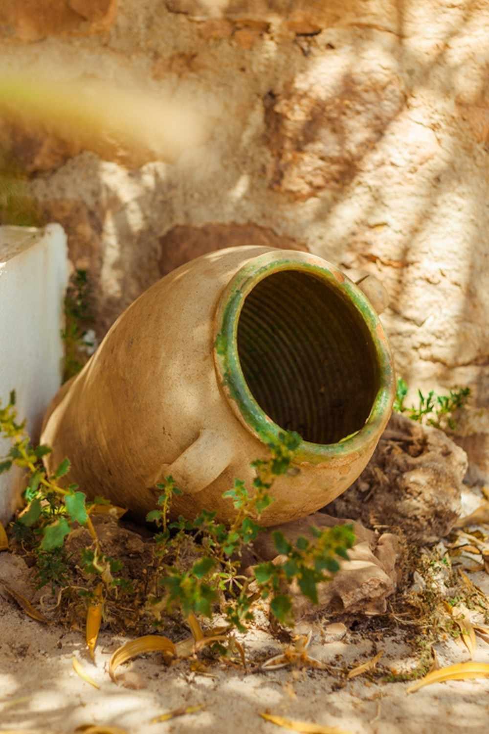 Finca El Vizconde Naturaleza Con Tus Hijos Arquillos Ngoại thất bức ảnh